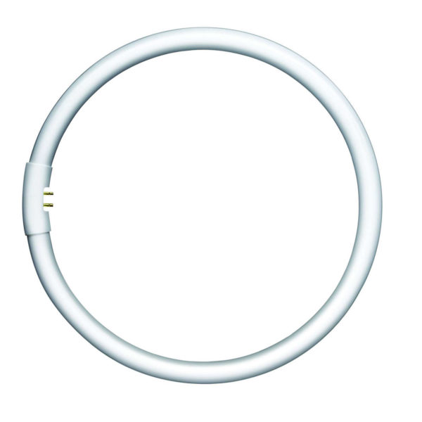 Circular Fluorescent Tube