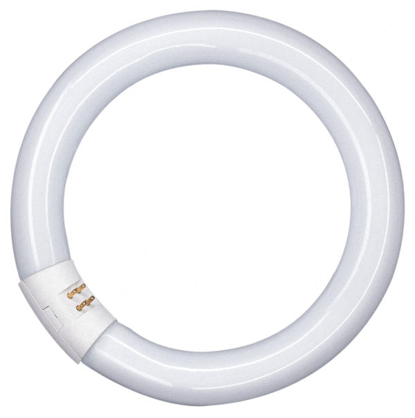 T8 Circular Fluorescent Tube 32W