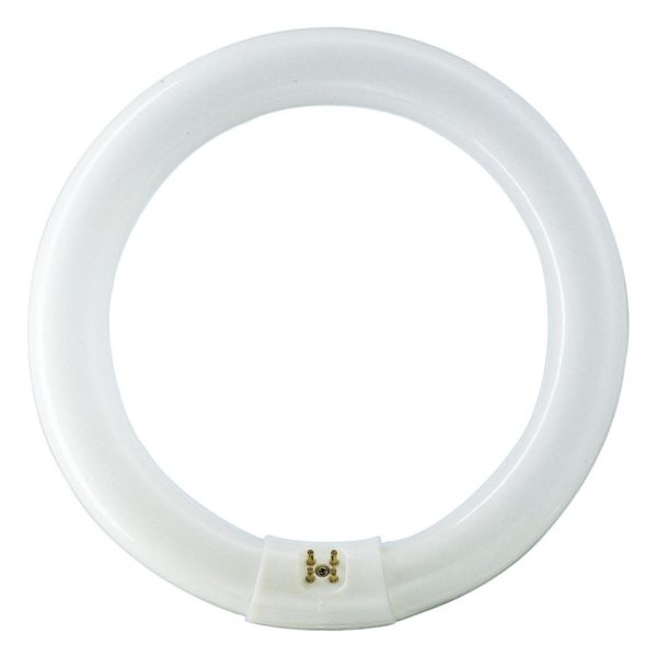 T8 Circular Fluorescent Tube 40W