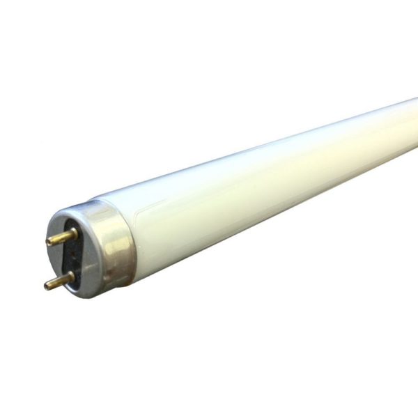 T8 Fluorescent tube