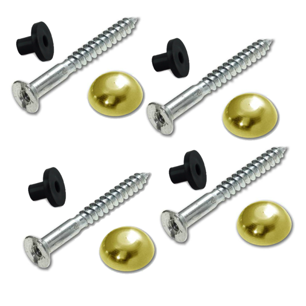 Dome Head Mirror Screws Brass